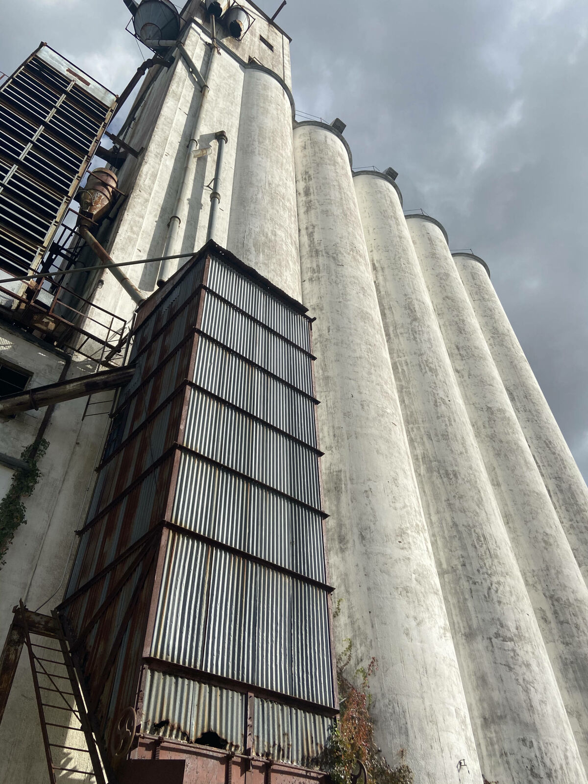 Looking straight up inside a round concrete silo to the open sky
